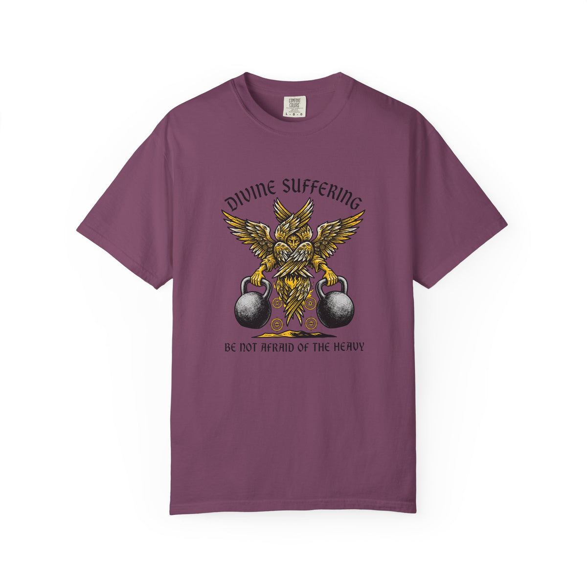 Seraphim's Carry T-shirt
